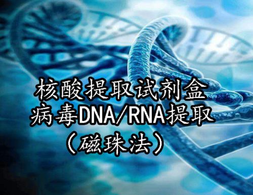 核酸提取试剂盒病毒DNA/RNA提取（磁珠法）